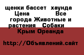 щенки бассет- хаунда › Цена ­ 20 000 - Все города Животные и растения » Собаки   . Крым,Ореанда